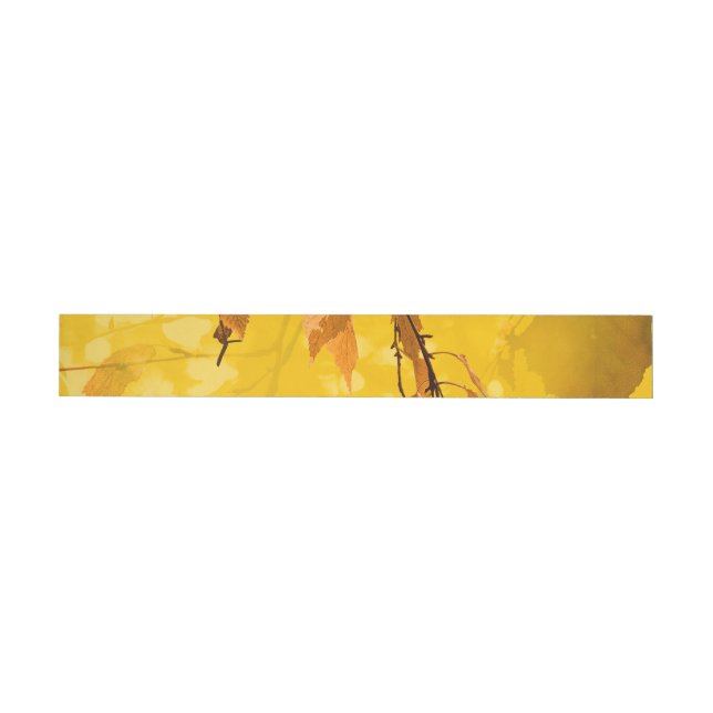 Herbstunterschiede 3 (Person)