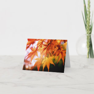 Herbstunterschiede im japanischen Holz Karte