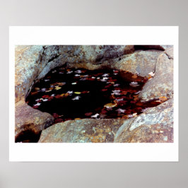 Herbstunterschiede in einem Poster