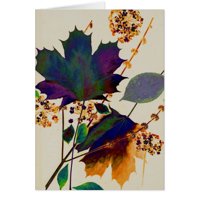 Herbstunterschiede in Royal Colors (Vorne)