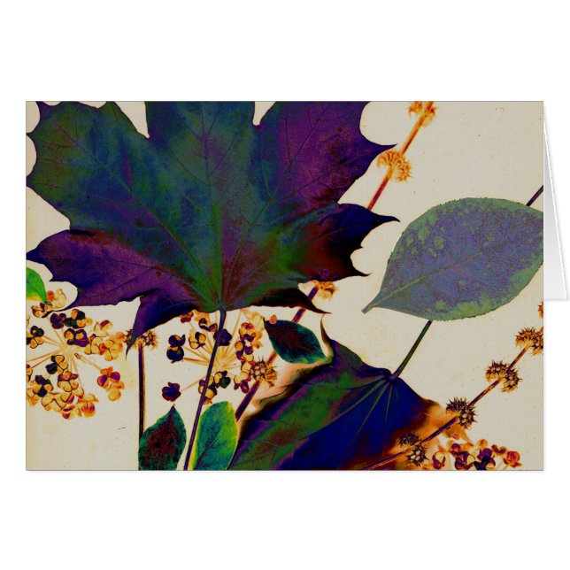 Herbstunterschiede in Royal Colors (Vorderseite (Horizontal))