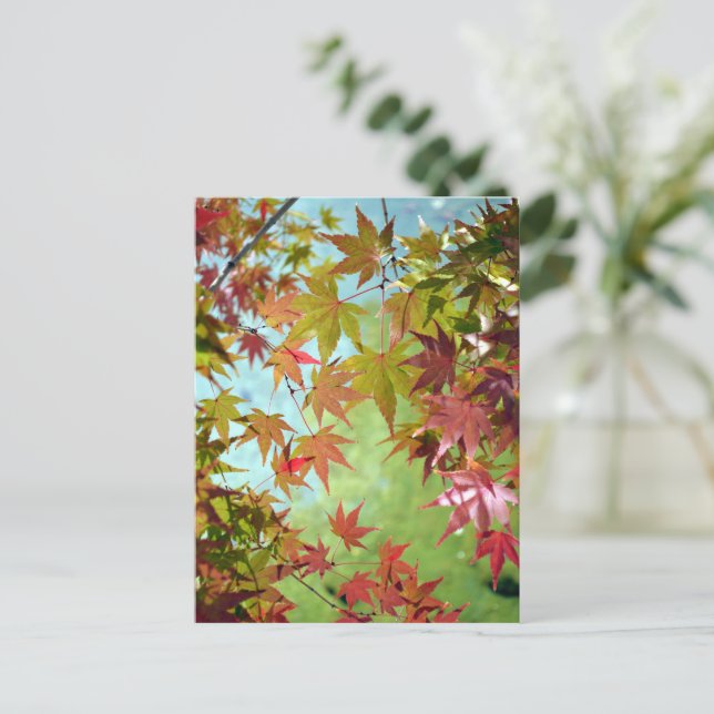 Herbstunterschiede: Japan Postkarte (Stehend Vorderseite)