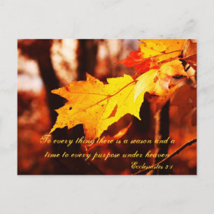 Herbstverläufe auf der Postkarte von Poconos