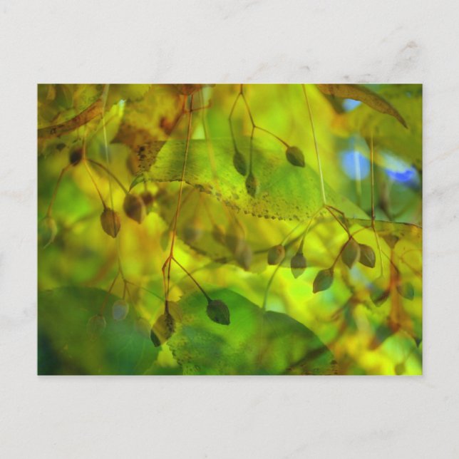 Herbstvision Postkarte (Vorderseite)
