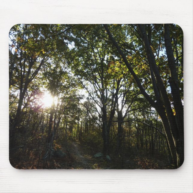 Herbstvormittag im Shenandoah-Nationalpark Mousepad (Vorne)