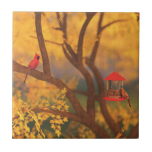 Herbstwächter Dekorative Tile / Trivet Fliese