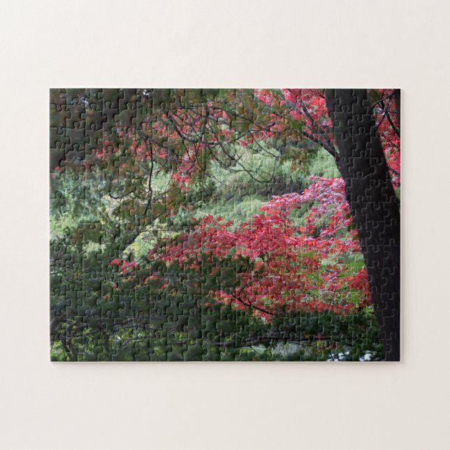 Herbstwald (Horizontal)