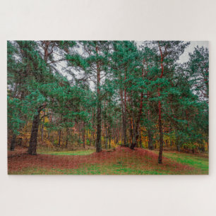 Herbstwald
