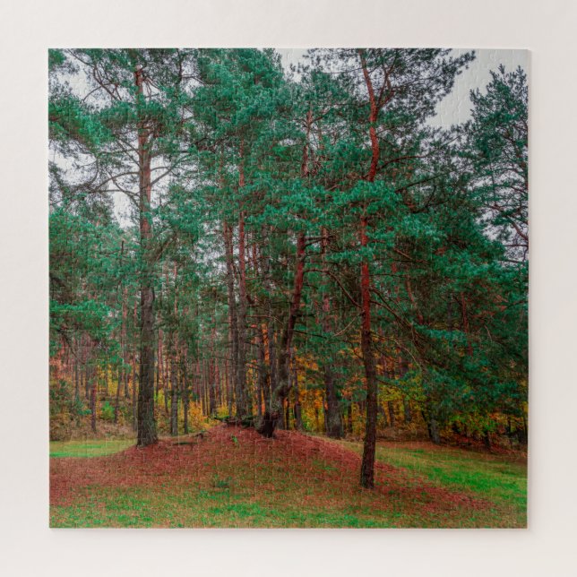 Herbstwald (Vertikal)