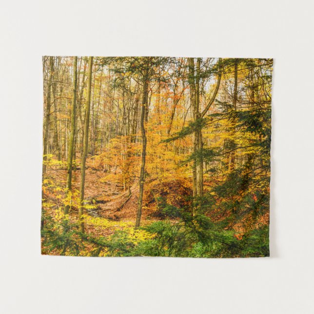 Herbstwald Bäume Natur Kleine Wandteppich (Vorderseite (Horizontal))
