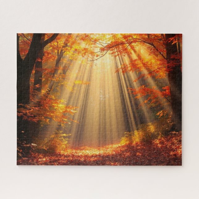 Herbstwald bei sonnigem Wetter (Horizontal)