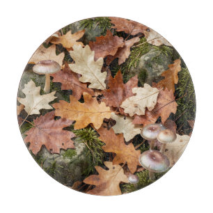 Herbstwald-Boden-Pilze-Moos-gefallene-Blätter Schneidebrett