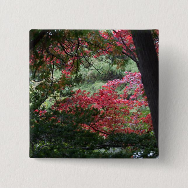 Herbstwald Button (Vorderseite)