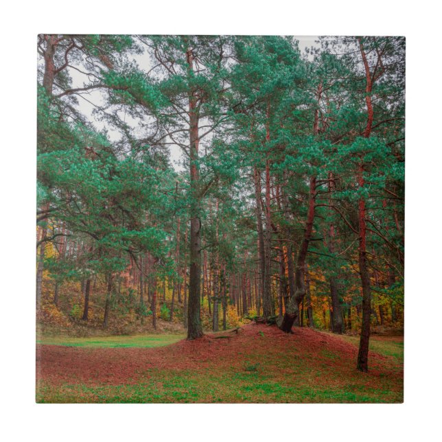 Herbstwald Fliese (Vorderseite)