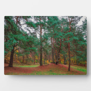 Herbstwald Fotoplatte