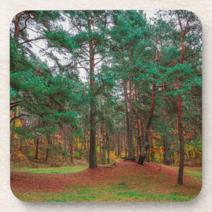 Herbstwald Getränkeuntersetzer