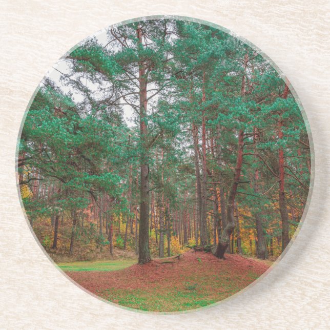 Herbstwald Getränkeuntersetzer (Vorne)