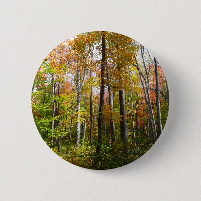 Herbstwald I Herbstlandschaftsfotografie Button (Vorderseite)