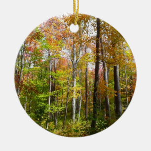 Herbstwald I Herbstlandschaftsfotografie Keramik Ornament