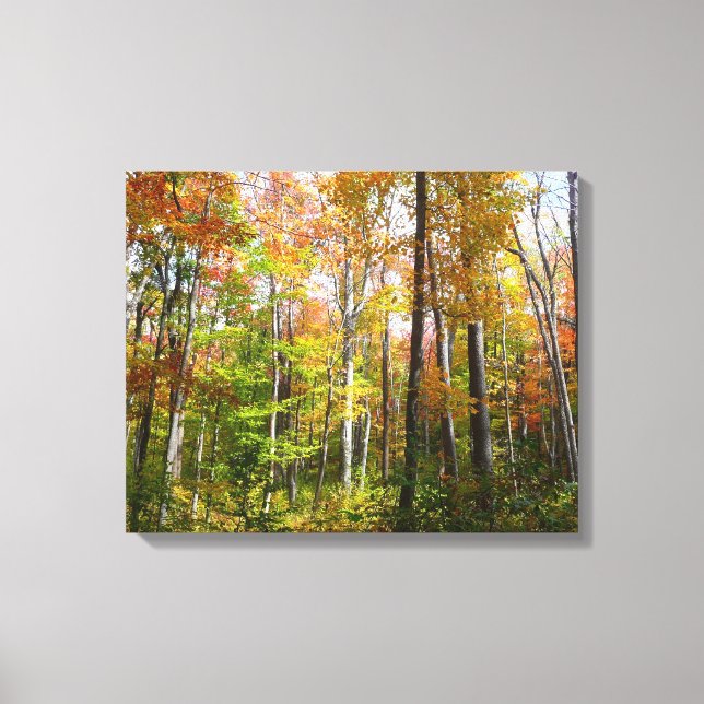 Herbstwald I Herbstlandschaftsfotografie Leinwanddruck (Vorderseite)