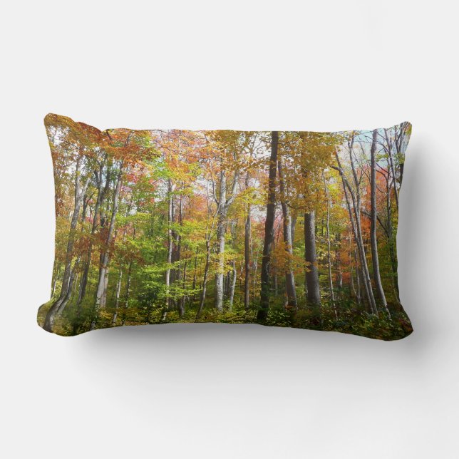 Herbstwald I Herbstlandschaftsfotografie Lendenkissen (Vorderseite)