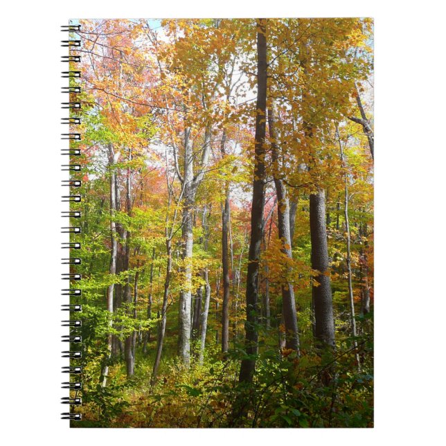 Herbstwald I Herbstlandschaftsfotografie Notizblock (Vorderseite)