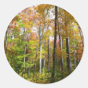 Herbstwald I Herbstlandschaftsfotografie Runder Aufkleber