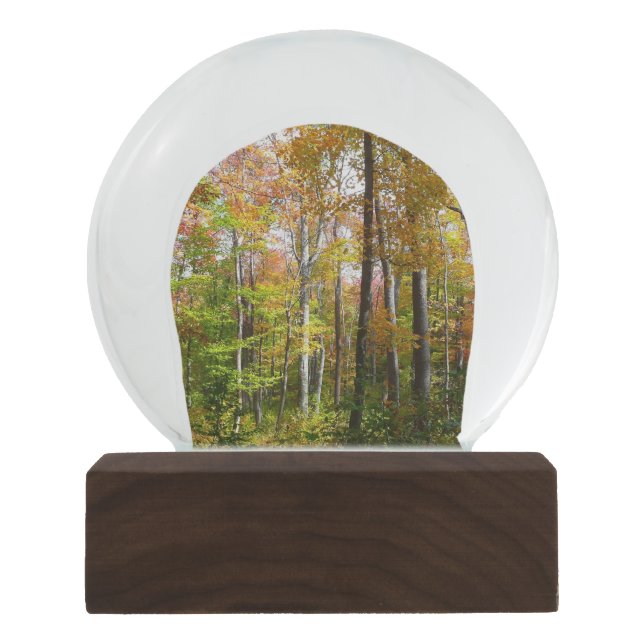 Herbstwald I Herbstlandschaftsfotografie Schneekugel (Vorderseite)