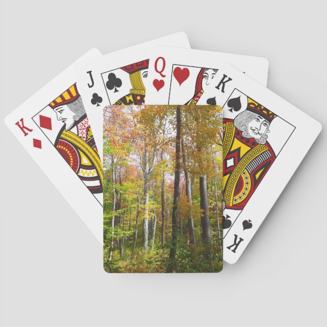 Herbstwald I Herbstlandschaftsfotografie Spielkarten (Rückseite)