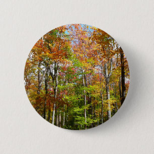 Herbstwald II Herbstlandschaftsfotografie Button