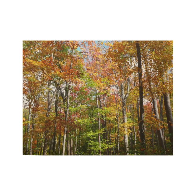 Herbstwald II Herbstlandschaftsfotografie Holzposter (Vorderseite)