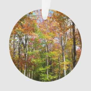 Herbstwald II Herbstlandschaftsfotografie Ornament