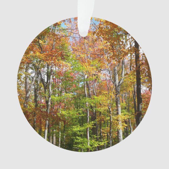Herbstwald II Herbstlandschaftsfotografie Ornament (Vorderseite)