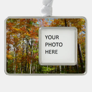 Herbstwald II Herbstlandschaftsfotografie Rahmen-Ornament Silber