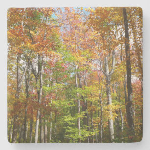 Herbstwald II Herbstlandschaftsfotografie Steinuntersetzer