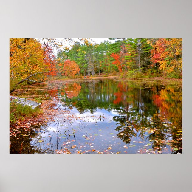 Herbstwald im Teich Poster (Vorne)