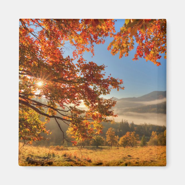 Herbstwald in den Bergen Magnet (Vorne)