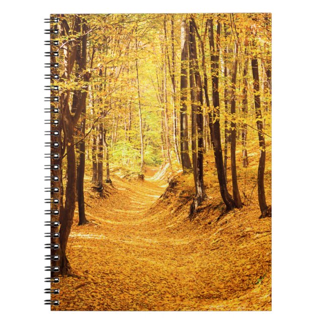 Herbstwald Landschaft Notizblock (Vorderseite)
