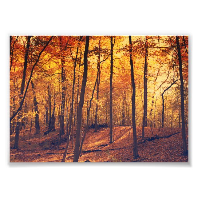 Herbstwald lässt Kunstwerke der Kunst Fotodruck (Vorne)