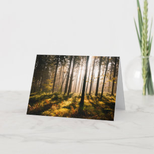 Herbstwald mit Sonnenstrahlen Karte