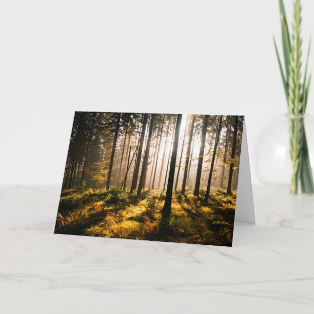 Herbstwald mit Sonnenstrahlen Karte (Vorderseite)