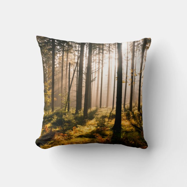 Herbstwald mit Sonnenstrahlen Kissen (Vorderseite)