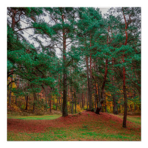 Herbstwald Poster