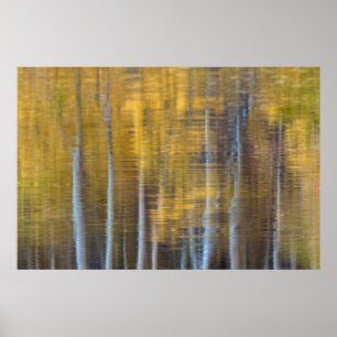 Herbstwald Reflexion Abstrakt Poster