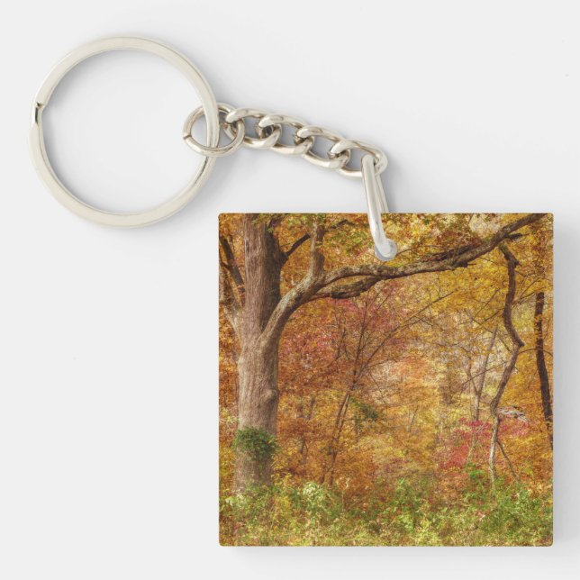 Herbstwald Schlüsselanhänger (Vorderseite)