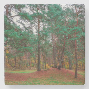 Herbstwald Steinuntersetzer