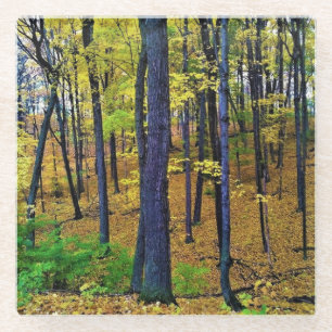 Herbstwald, Westbend, Wisconsin Glasuntersetzer
