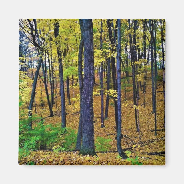 Herbstwald, Westbend, Wisconsin Magnet (Vorne)