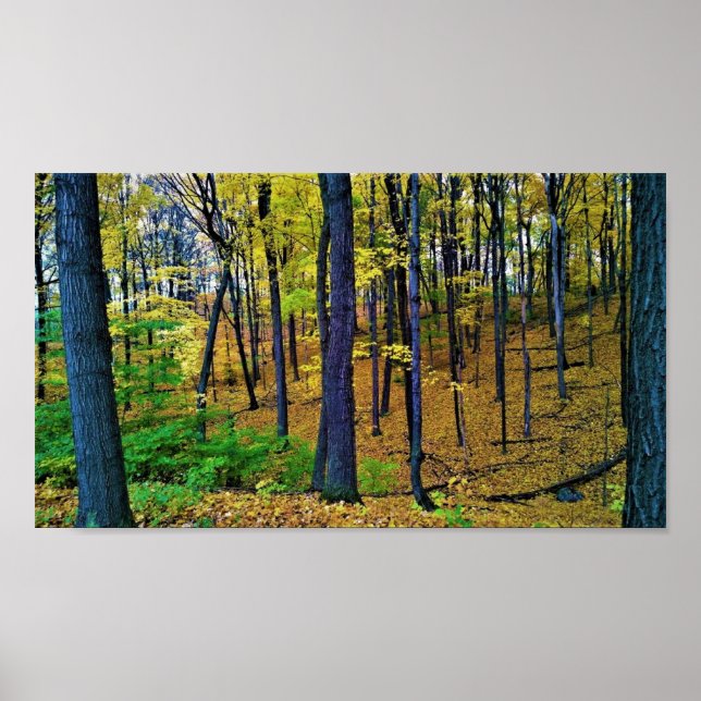 Herbstwald, Westbend, Wisconsin Poster (Vorne)