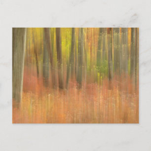 Herbstwälder abstrakt postkarte